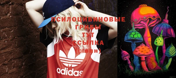 спиды Белокуриха