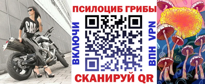 Псилоцибиновые грибы мицелий  Чулым 